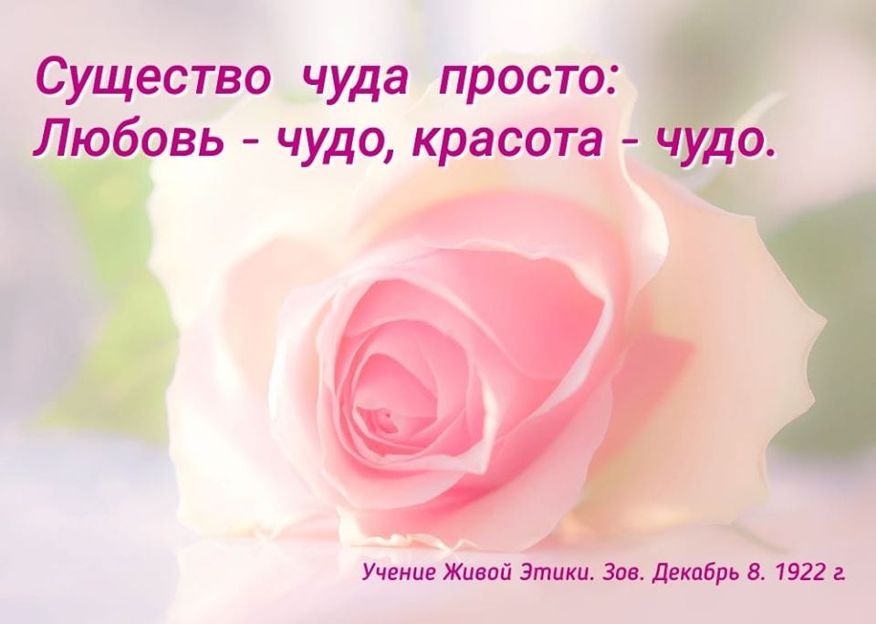 Существо чуда просто.jpg